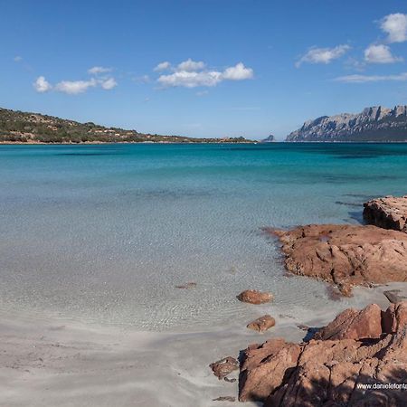 Aria Di Vacanza - Gelsi Olbia Exterior foto
