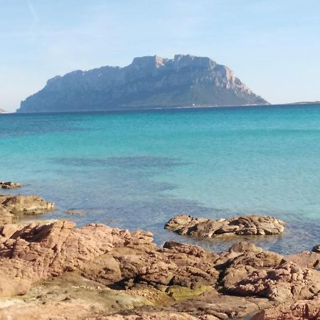 Aria Di Vacanza - Gelsi Olbia Exterior foto