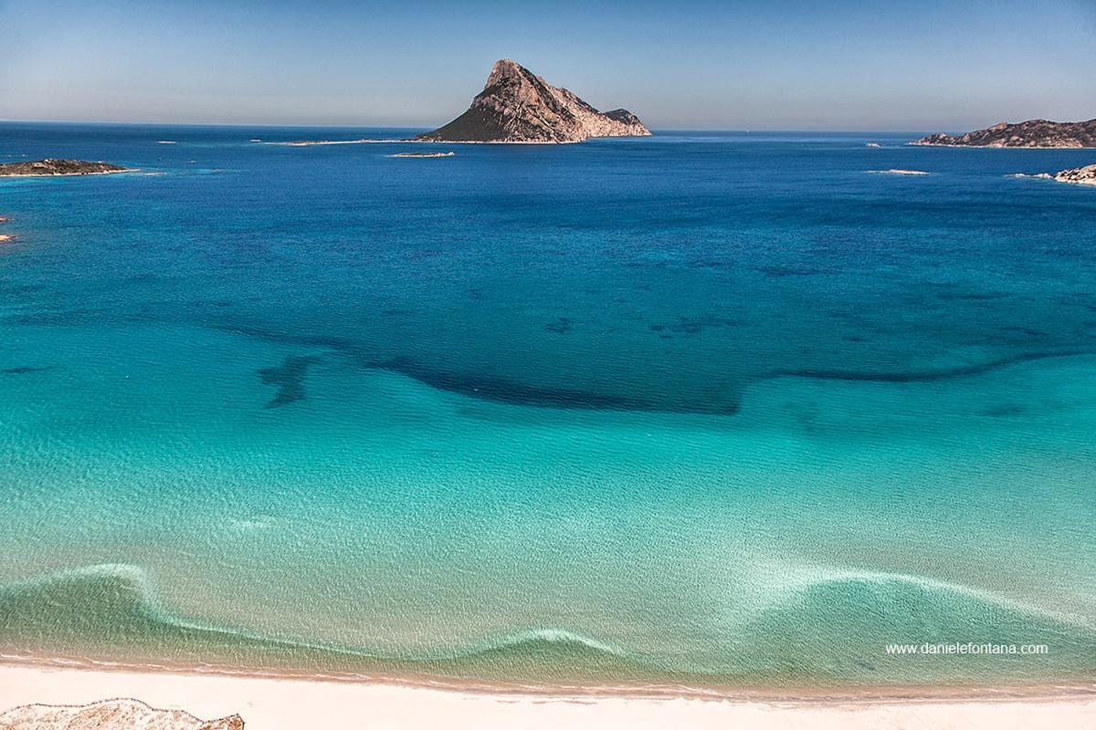 Aria Di Vacanza - Gelsi Olbia Exterior foto